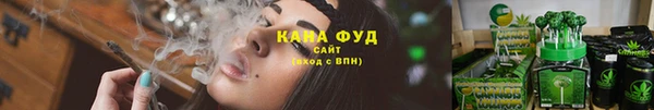 дмт Нязепетровск