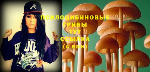 дмт Нязепетровск