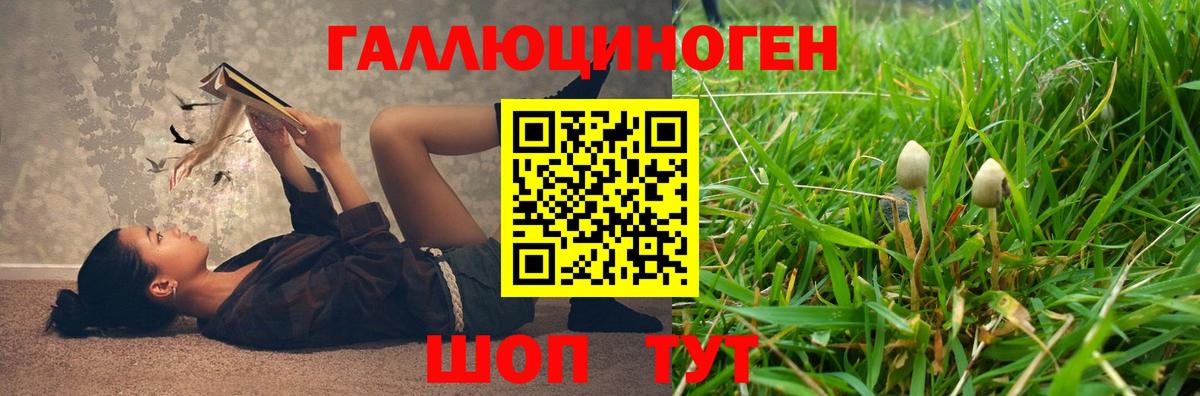 Галлюциногенные грибы мухоморы Отрадное